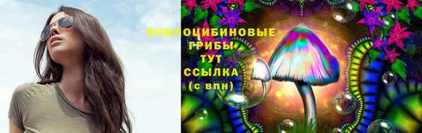 PSILOCYBIN Алзамай