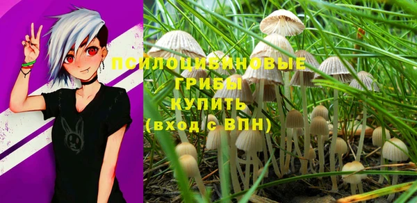 PSILOCYBIN Алзамай