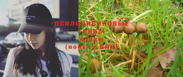 соль курить ск Новозыбков