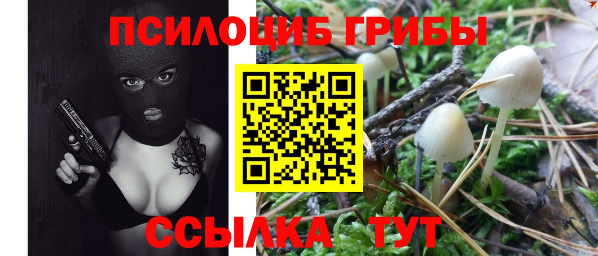 купить  сайты  Галлюциногенные грибы мухоморы  Псилоцибиновые грибы Psilocybe  Вход с VPN  Астрахань 