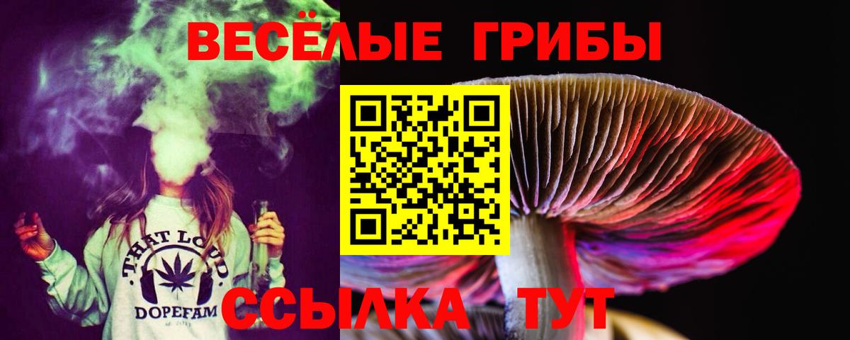 Галлюциногенные грибы мицелий Астрахань