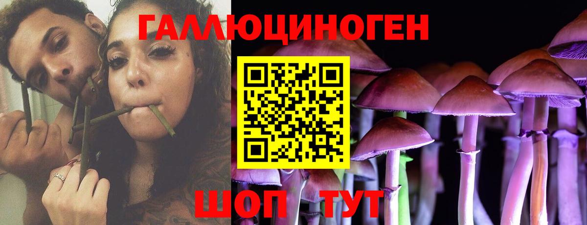 Галлюциногенные грибы GOLDEN TEACHER  Астрахань  Галлюциногенные грибы GOLDEN TEACHER 